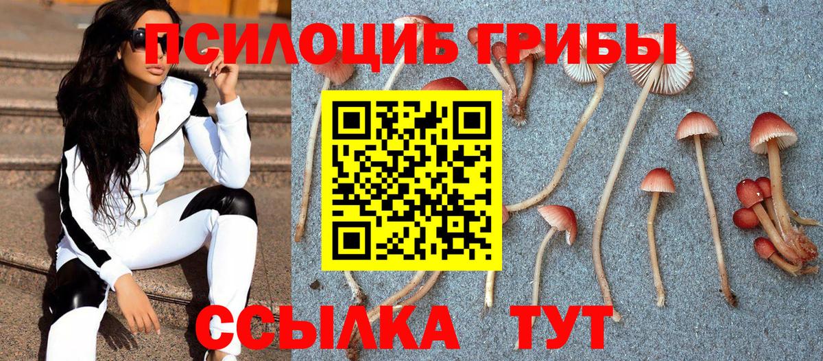 Галлюциногенные грибы прущие грибы  магазин продажи наркотиков  Вход с VPN  Добрянка  Галлюциногенные грибы прущие грибы 